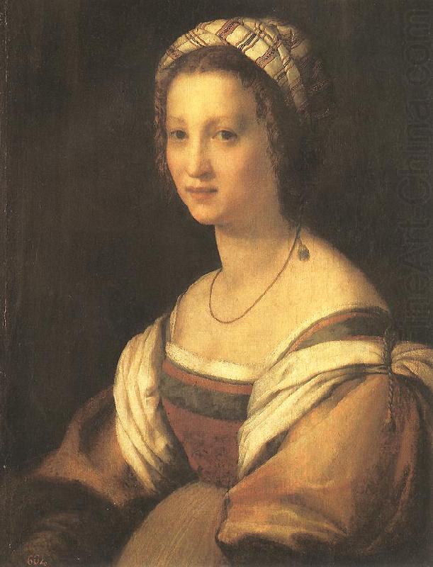 Portrait of the Artist's Wife, Andrea del Sarto